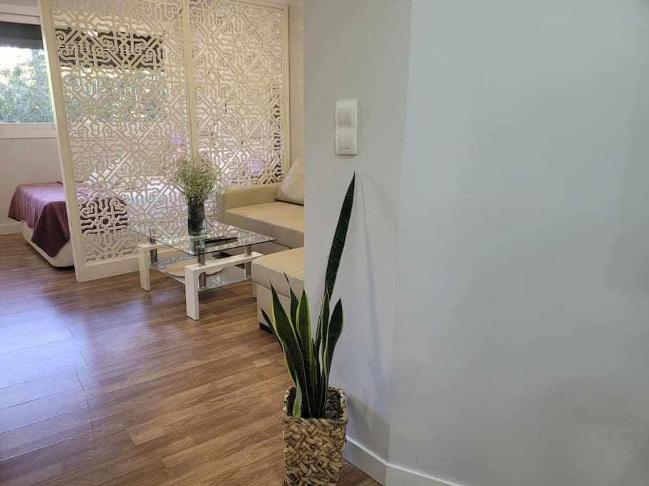 Apartamento Lirio De Agua Granada Centro Exterior photo
